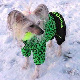 Zimní oblečky na psy – overaly For My Dogs3